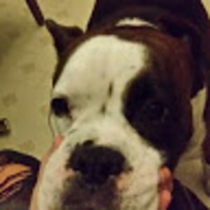 Meet your Posher, Eternity